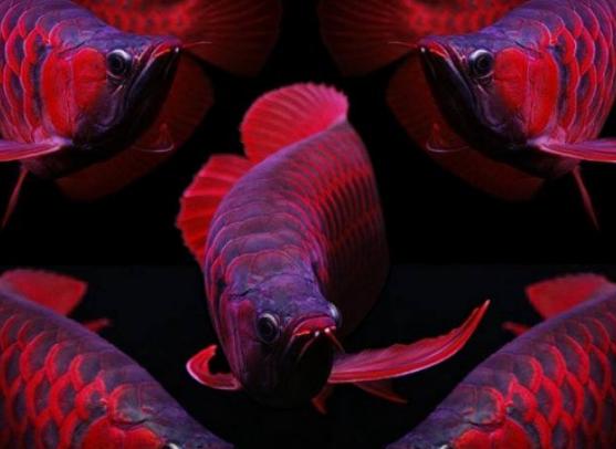 ����ʮ����Ư���ğᎧ�~�����~ɫ�ʸ�����ͬ��С���~�L��ɐ�