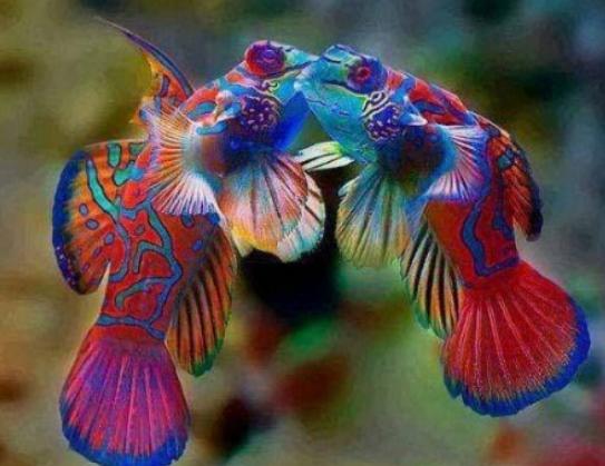 ����ʮ����Ư���ğᎧ�~�����~ɫ�ʸ�����ͬ��С���~�L��ɐ�