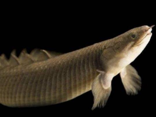 ����ʮ������~��ؼ��~���؞lΣ�����ȼӠ������~�����x�_ˮ����