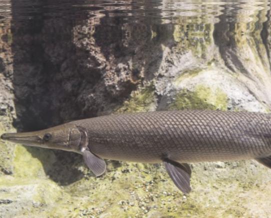 ����ʮ������~��ؼ��~���؞lΣ�����ȼӠ������~�����x�_ˮ����