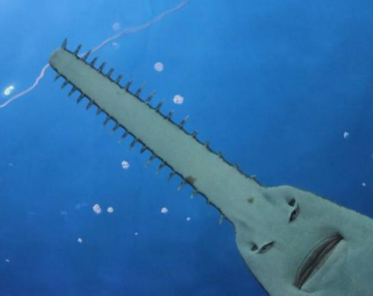 ����ʮ������~��ؼ��~���؞lΣ�����ȼӠ������~�����x�_ˮ����