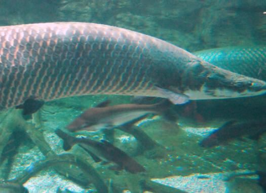 ����ʮ������~��ؼ��~���؞lΣ�����ȼӠ������~�����x�_ˮ����