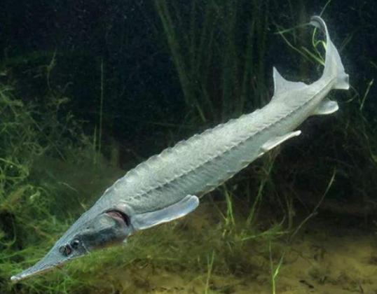 ����ʮ������~��ؼ��~���؞lΣ�����ȼӠ������~�����x�_ˮ����