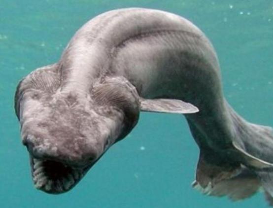 ����ʮ������~��ؼ��~���؞lΣ�����ȼӠ������~�����x�_ˮ����