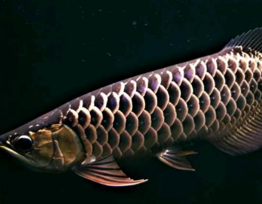 ����ʮ������~��ؼ��~���؞lΣ�����ȼӠ������~�����x�_ˮ����