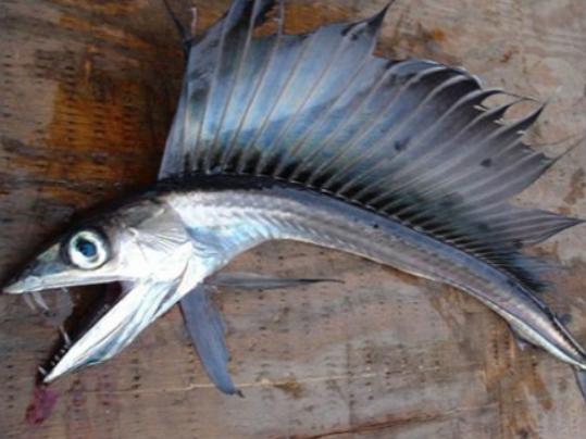 ����ʮ������~��ؼ��~���؞lΣ�����ȼӠ������~�����x�_ˮ����