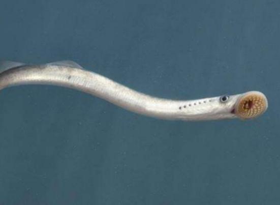 ����ʮ������~��ؼ��~���؞lΣ�����ȼӠ������~�����x�_ˮ����