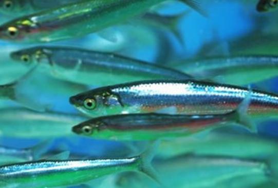 ȫ��ʮ�����F��ˮ�~���а��������~�ڸ������͡������~��ֳ�����O��