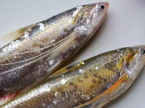 ȫ��ʮ�����F��ˮ�~���а��������~�ڸ������͡������~��ֳ�����O��