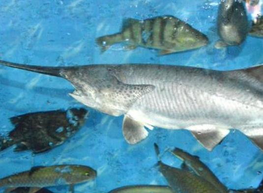 ȫ��ʮ�����F��ˮ�~���а��������~�ڸ������͡������~��ֳ�����O��