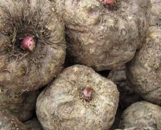 ʮ�󄡶�Ұ�����а������Ҫ�����������������˻���