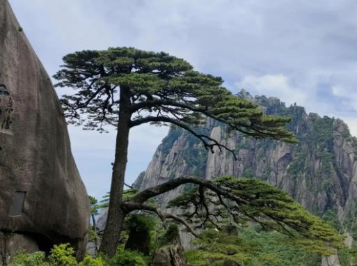 2023���Sɽ���ƺ�ÿ�춼�І᣿2023�Sɽ�ƺ�ֻ�������І�