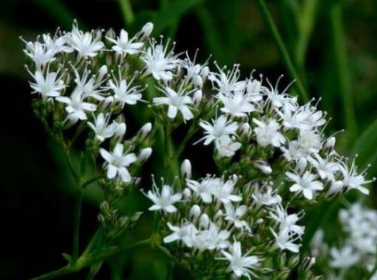 ʮΣUֲŮ˻֭Һԏw