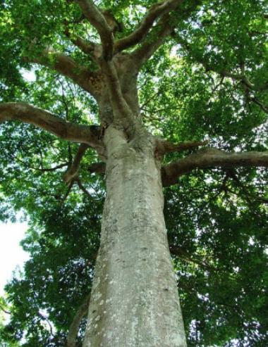 ����ʮ��Σ�U��ֲ���Ů�˻�֭Һ���ԏ����������w������