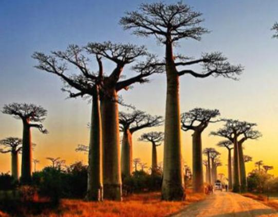 ����ʮ��֘����а���Ѫ���L����֡���������ɿ��ԃ�ˮ