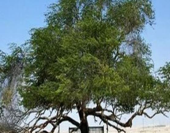 ����ʮ��֘����а���Ѫ���L����֡���������ɿ��ԃ�ˮ