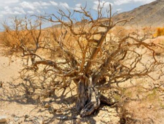 ����ʮ��֘����а���Ѫ���L����֡���������ɿ��ԃ�ˮ