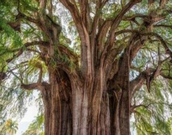 ����ʮ��֘����а���Ѫ���L����֡���������ɿ��ԃ�ˮ