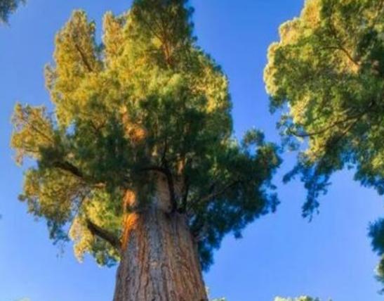 ����ʮ��֘����а���Ѫ���L����֡���������ɿ��ԃ�ˮ