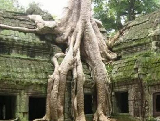 ����ʮ��֘����а���Ѫ���L����֡���������ɿ��ԃ�ˮ