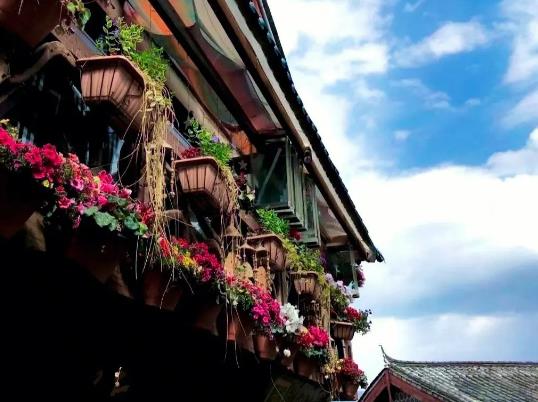 ��������12�·��䲻�䣿�ɂ���ȥ����5000���