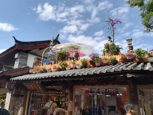 ��������12�·��䲻�䣿�ɂ���ȥ����5000���