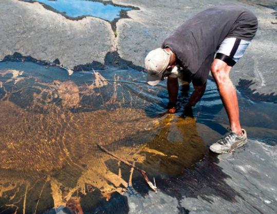 世界十大奇特的湖,赫利爾湖湖水顏色至今是謎、水母湖有百萬只水母 世界十大奇特的湖,赫利爾湖湖水顏色至今是謎、水母湖有百萬只水母