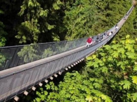 世界十大危險的橋,特里夫特懸索橋、南針峰懸索橋非常考驗你的勇氣 世界十大危險的橋,特里夫特懸索橋、南針峰懸索橋非常考驗你的勇氣