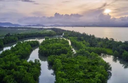 10�·��m���m��ȥ�V�|�棿�V�|�ᵽʲô�r(sh��)�����