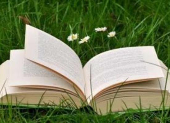 ������T�Z�����а�Ӣ�Z�漰�����V���h�Zʹ�õ��˺ܶ�