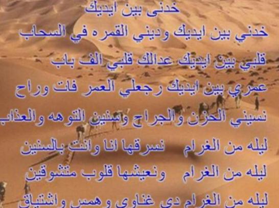 ������T�Z�����а�Ӣ�Z�漰�����V���h�Zʹ�õ��˺ܶ�