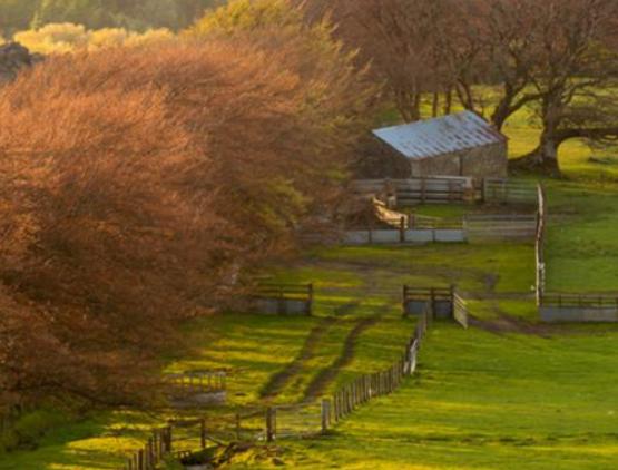 廣東十大鄉村排行榜,蓮麻村非常有名、新山村面積大 廣東十大鄉村排行榜,蓮麻村非常有名、新山村面積大