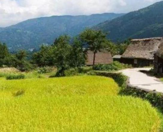 廣東十大鄉村排行榜,蓮麻村非常有名、新山村面積大 廣東十大鄉村排行榜,蓮麻村非常有名、新山村面積大