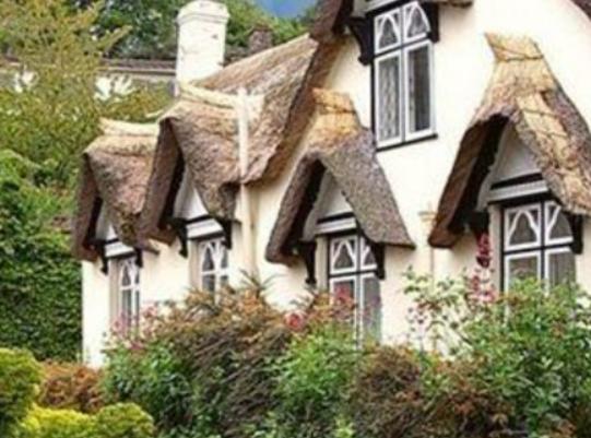 廣東十大鄉村排行榜,蓮麻村非常有名、新山村面積大 廣東十大鄉村排行榜,蓮麻村非常有名、新山村面積大