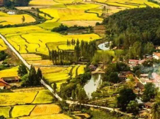 廣東十大鄉村排行榜,蓮麻村非常有名、新山村面積大 廣東十大鄉村排行榜,蓮麻村非常有名、新山村面積大