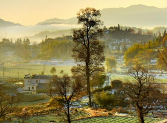 浙江十大名村排行榜,何斯路村歷史悠久、移沿山村建立了古村落保護單位 浙江十大名村排行榜,何斯路村歷史悠久、移沿山村建立了古村落保護單位