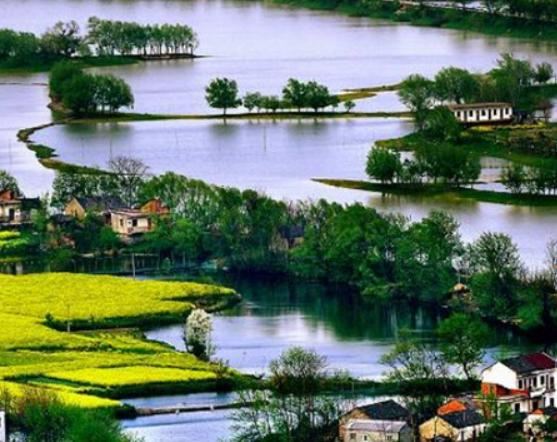 浙江十大名村排行榜,何斯路村歷史悠久、移沿山村建立了古村落保護單位 浙江十大名村排行榜,何斯路村歷史悠久、移沿山村建立了古村落保護單位