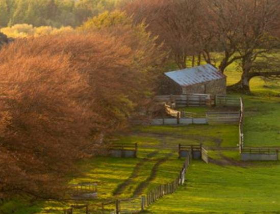 浙江十大名村排行榜,何斯路村歷史悠久、移沿山村建立了古村落保護單位 浙江十大名村排行榜,何斯路村歷史悠久、移沿山村建立了古村落保護單位