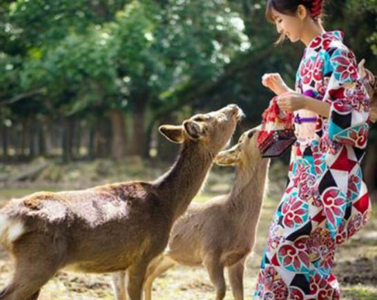 世界十大旅行城市排名,威尼斯被稱為水上之城、奈良保留不少文化遺產 世界十大旅行城市排名,威尼斯被稱為水上之城、奈良保留不少文化遺產