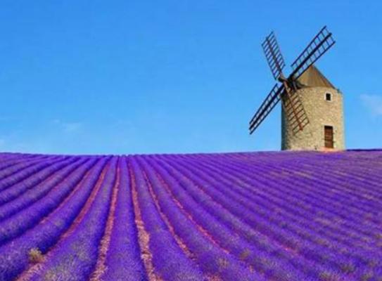 世界十大婚禮城市排名,青島風光秀麗、普羅旺斯滿足你的浪漫夢想 世界十大婚禮城市排名,青島風光秀麗、普羅旺斯滿足你的浪漫夢想