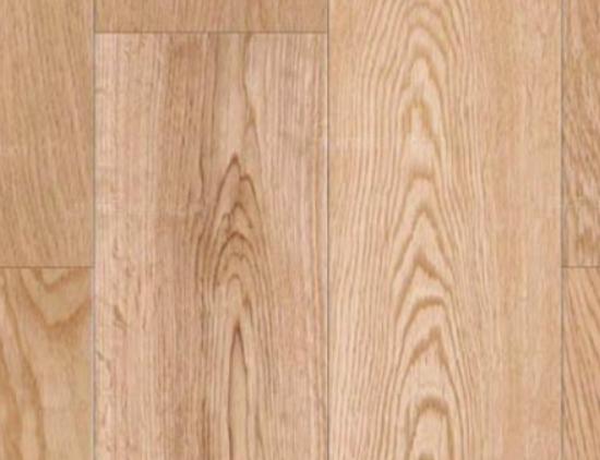 ʮ��ľ�ذ��������������ذ������⡢ʥ��ذ�������ه