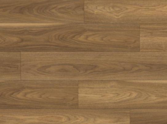 ʮ��ľ�ذ��������������ذ������⡢ʥ��ذ�������ه