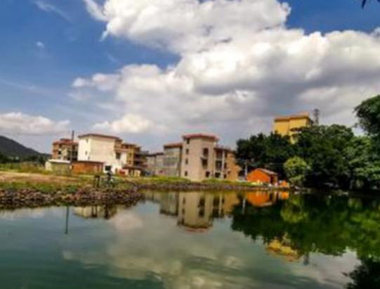 �V�|ʮ��(qi��ng)�h���а��Ռ��h���Ļ�֮�l(xi��ng)�����_�h��(j��ng)��(j��)�l(f��)չ��