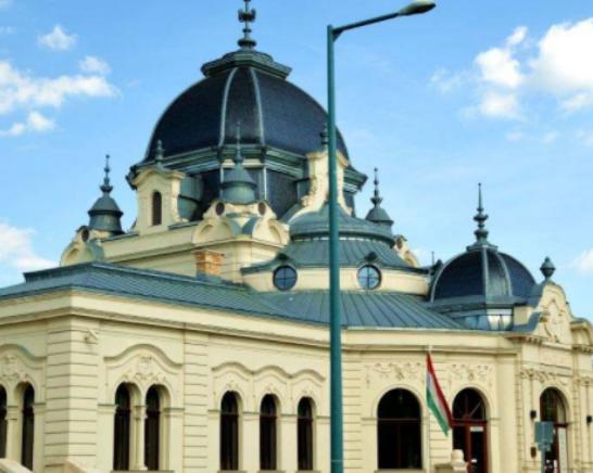 ʮ���������������������_��˹�Ǟ���cˮ֮�����²���ɭ����������