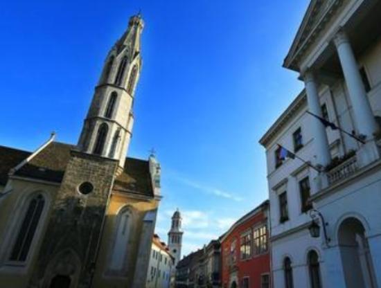 ʮ���������������������_��˹�Ǟ���cˮ֮�ǡ��²���ɭ����������