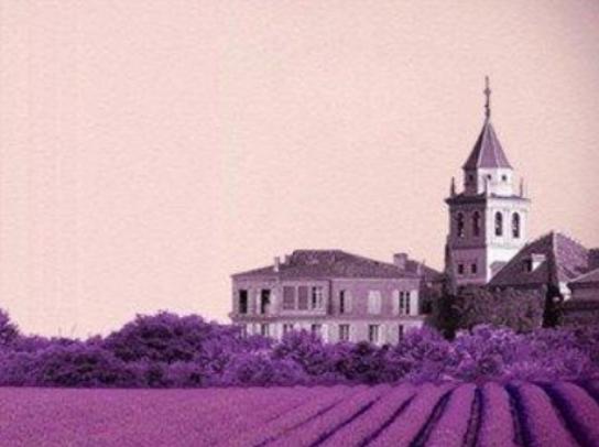 ���������ĳ����������������������������_��˹�ǻ鼆����ʥ��