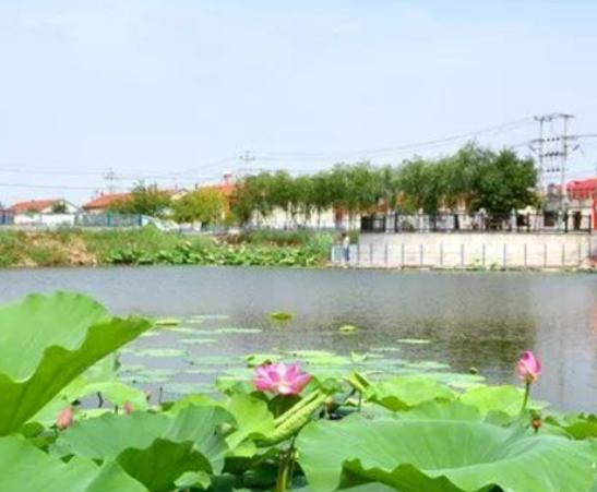 ����ʮ���l����а����S�悰lչ�ٶȿ졢����������Ļ�����