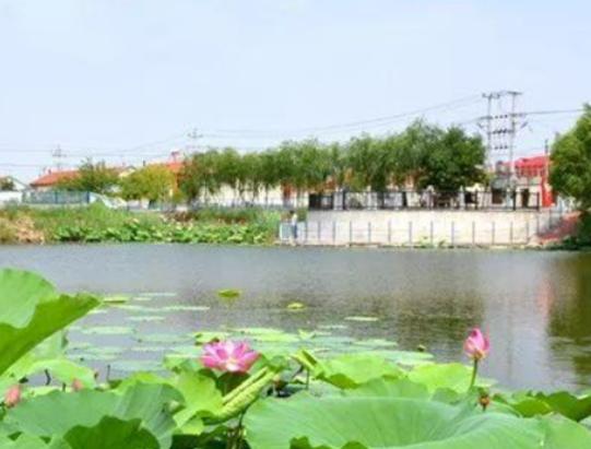 ����ʮ��С�(zh��n)���а�ܽ���(zh��n)�vʷ�ƾá����(zh��n)�����l(f��)չ�ٶȿ�