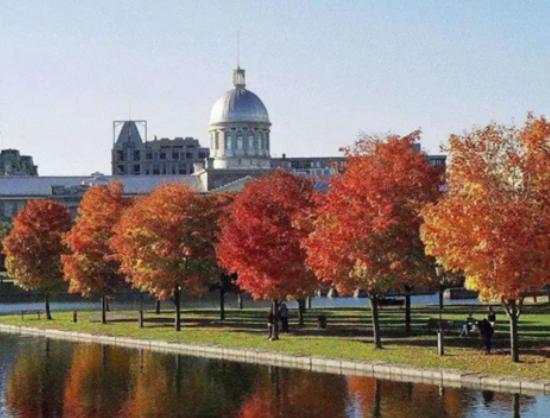 ���ô�ʮ��������а񣬹��ܠ��D�Ƽ�ˮƽһ�������Ხ�ČWУ�Ќ���