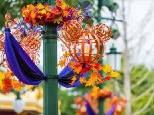 迪士尼早享票和常規票有什么區別?早鳥票和早享票可以同時購買嗎 迪士尼早享票和常規票有什么區別?早鳥票和早享票可以同時購買嗎